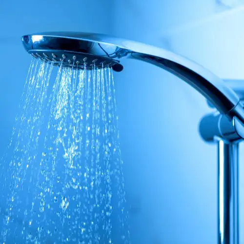 Shower head